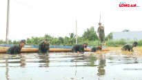 Bộ đội kéo xuồng, lội nước giúp dân gặt lúa bị ngập