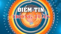 Điểm tin trong tuần 01/12/2023