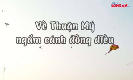 Về Thuận Mỹ ngắm cánh đồng diều