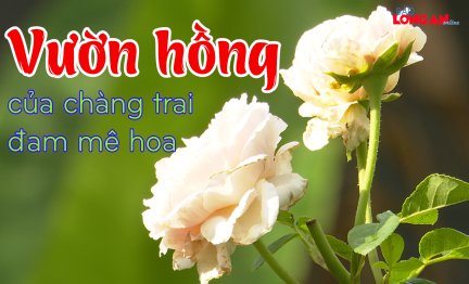 Vườn hồng của chàng trai đam mê hoa