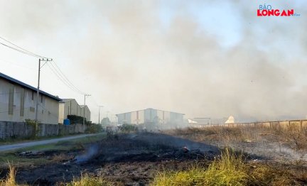 Cháy lan sang công ty, 4 xe chữa cháy được huy động tham gia cứu hỏa