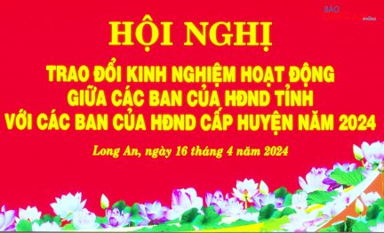 Trao đổi kinh nghiệm giữa các Ban HĐND tỉnh với các Ban HĐND các huyện, thị xã, thành phố