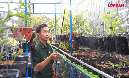 Cựu chiến binh đam mê trồng hoa Lan