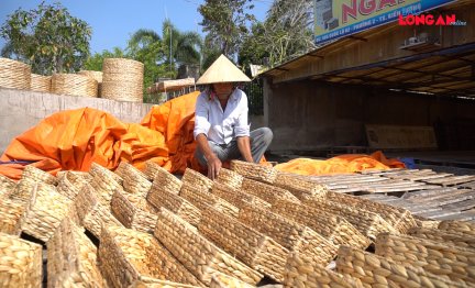 Nâng tầm giá trị cây lục bình