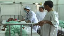 Bệnh lây truyền qua phân