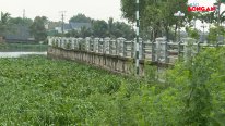 Khảo sát thực tế, đánh giá hiện trạng sụt lún bờ kè thị xã Kiến Tường