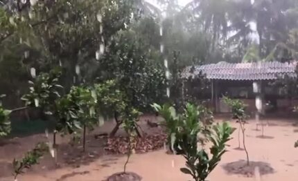 Hướng dẫn diệt lăng quăng đúng cách