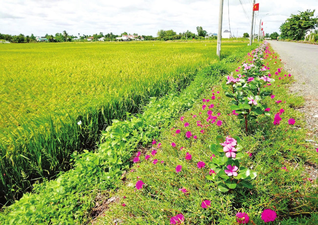 Chung tay xây dựng môi trường xanh, sạch, đẹp