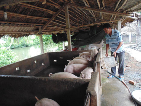 Bài 3: “Loay hoay” tìm đầu ra