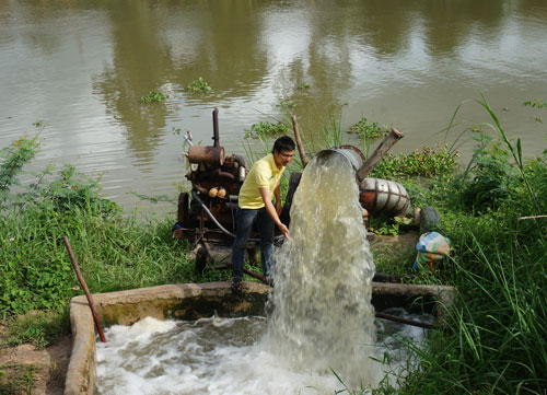 Tân Hưng: Khởi sắc từ chương trình nông thôn mới