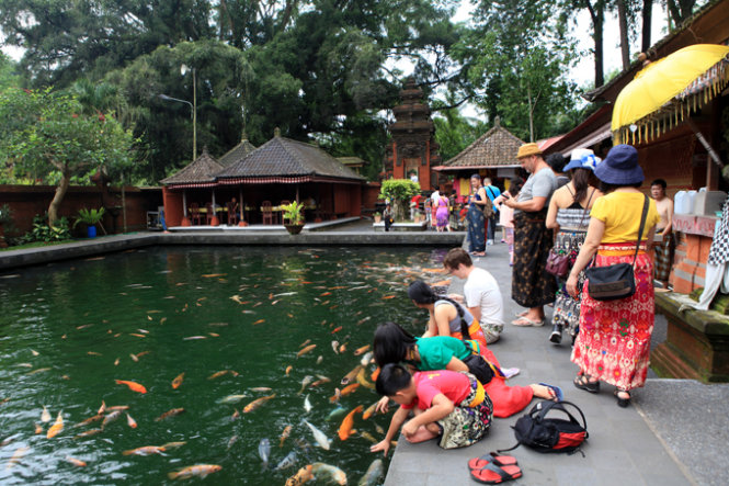 Ấn tượng đền suối thiêng Tampak Siring