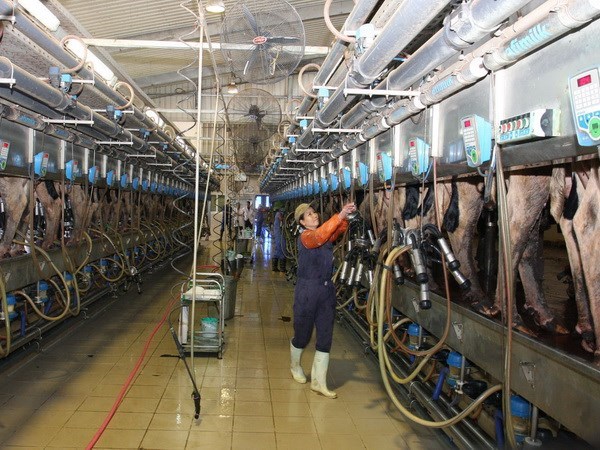 Vinamilk động thổ dự án nông nghiệp lớn nhất tới nay ở Thanh Hóa
