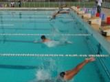Long An: Kết thúc giải bơi lội trẻ của tỉnh 2015