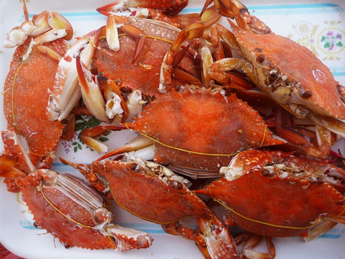Khám phá làng chài cổ Hàm Ninh - Phú Quốc