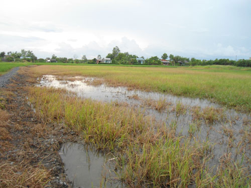 Cần Giuộc: Hơn 10 năm chờ giải quyết quy hoạch treo