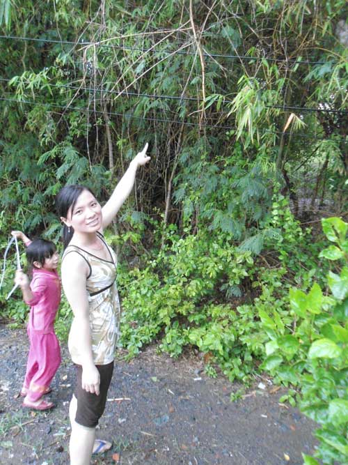 Cần Giuộc: Hơn 10 năm chờ giải quyết quy hoạch treo