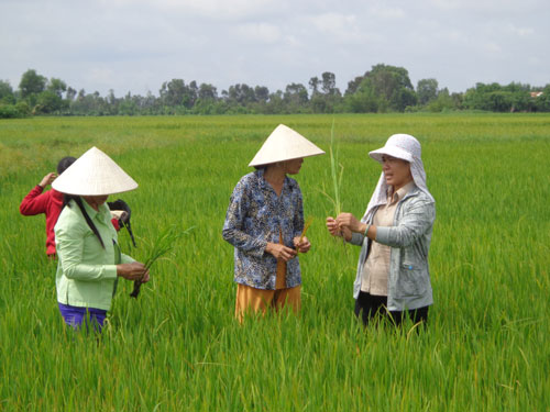 Đức Huệ nông nghiệp phát triển, nông thôn đổi mới