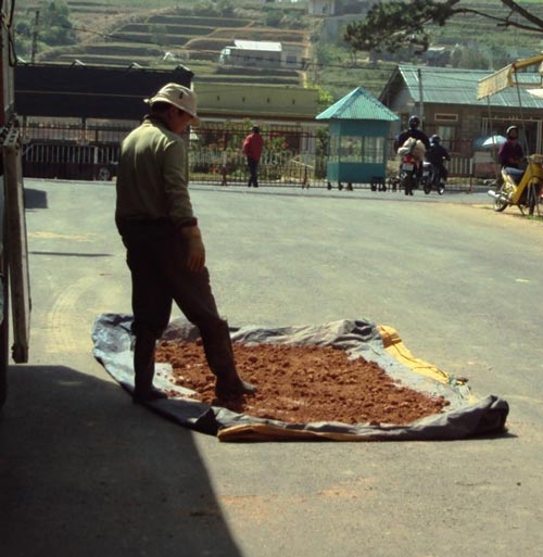Khoai tây đội lốt: Lẽ nào bó tay!