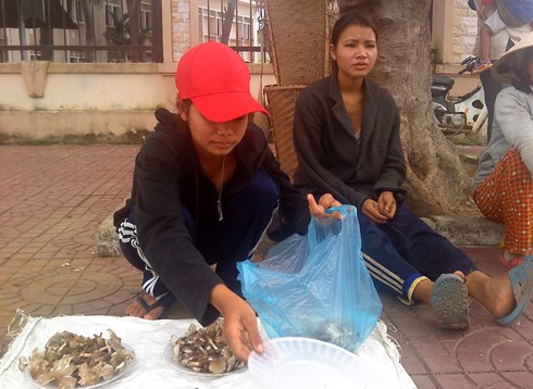 Nhiều vụ tử vong do ăn nấm rừng độc