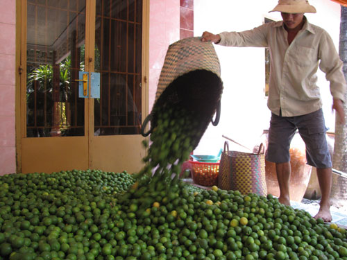 Khoảng cách khá xa