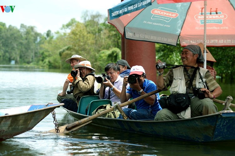 Ngắm suối Yến - chùa Hương đầu mùa hoa súng