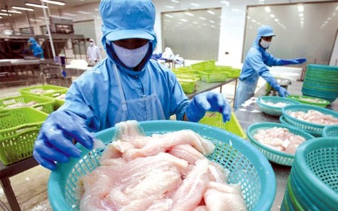 Phòng vệ thương mại vẫn chỉ là công cụ của... nhà giàu?