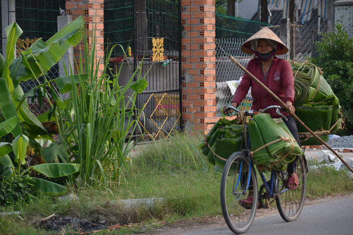 Đời rọc lá