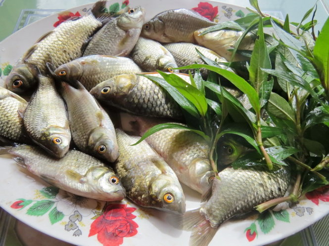 Mặn mòi cá diếc ngày mưa