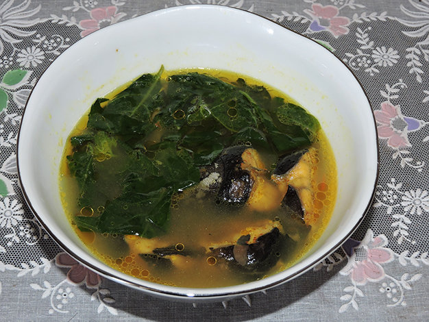 Thương hoài cá leo mùa nước lên
