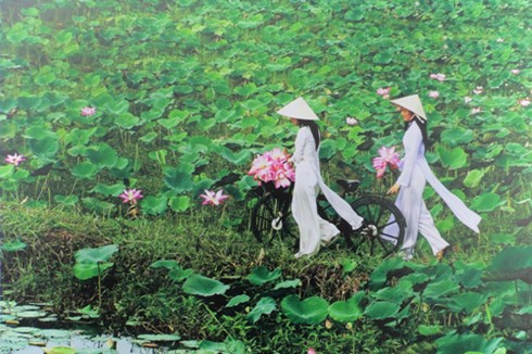 Những hình ảnh đẹp về Việt Nam  Báo Thái Nguyên điện tử