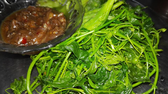 Đọt lưới mà chấm mắm chua