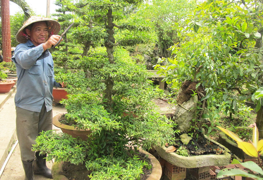 Hội Nông dân: Nòng cốt trong xây dựng nông thôn mới