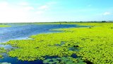 Vườn Quốc gia U Minh Thượng trở thành Khu Ramsar thế giới