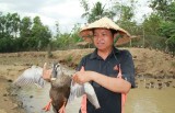 Thu nhập tiền tỷ từ mô hình nuôi vịt trời bán hoang dã