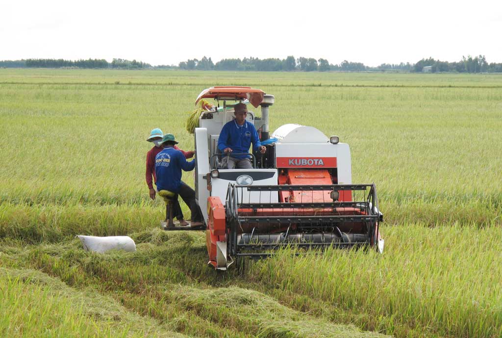 Đạt 83 xã nông thôn mới đến năm 2020 – quyết tâm của Long An