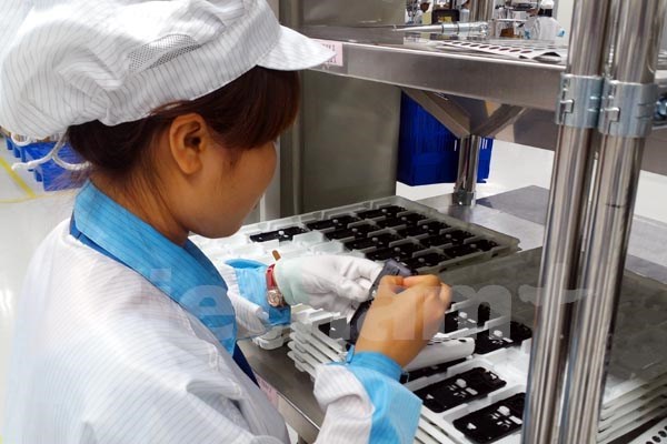 Ngành phần mềm Việt: Sụt giảm trong nước, tăng trưởng nước ngoài