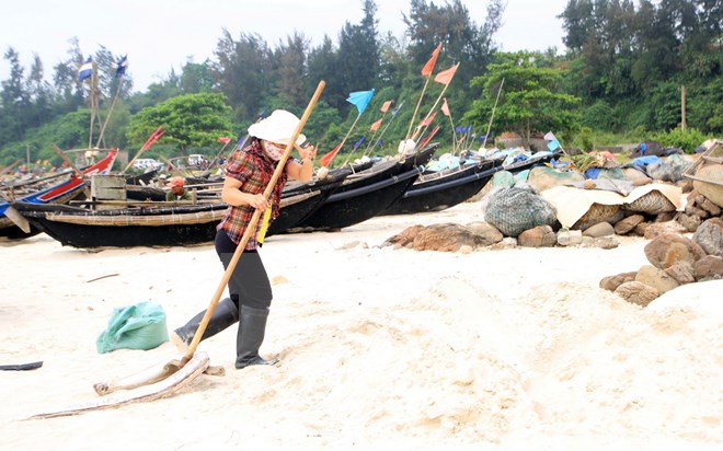 Kết quả phân tích 15 mẫu nước biển ven bờ tại tỉnh Quảng Trị