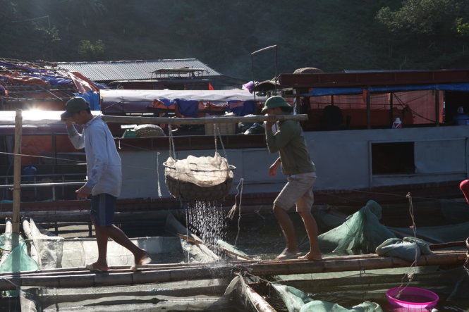Tôm sông Đà - ăn để nhớ Phiêng Lanh