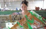 Phụ nữ xã Thanh Phú: Nhiều phong trào tập hợp hội viên, giúp nhau giảm nghèo