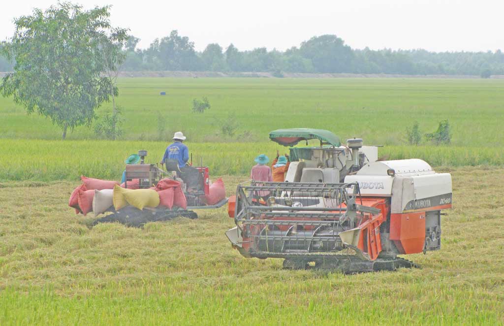 Đến năm 2020, Long An có 89 xã đạt chuẩn nông thôn mới