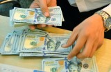Cơ hội lãi suất gửi USD vượt 0%