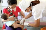 Việt Nam chưa phát hiện sự đột biến của các chủng virus cúm