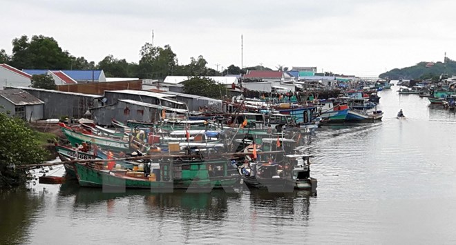 Bão, áp thấp nhiệt đới tập trung nhiều hơn từ Trung Bộ trở vào Nam Bộ
