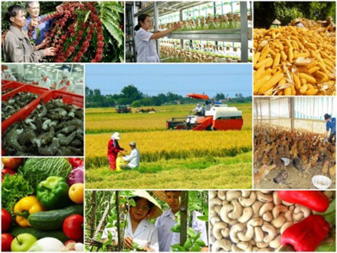Thủy sản là chỗ dựa cho ngành nông nghiệp tăng trưởng cuối năm?