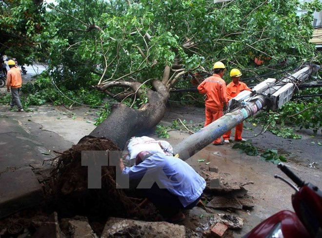 Bão số 1 làm ba người chết và mất tích, 10 người bị thương