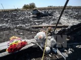 Malaysia và Ukraine cam kết làm sáng tỏ vụ bắn rơi máy bay MH17