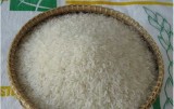 Sức ép cạnh tranh từ gạo Campuchia trên thị trường Việt Nam