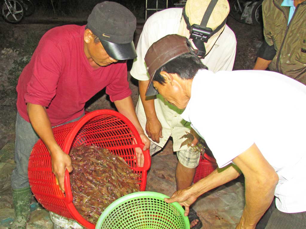 Đổi thay ở xã nông thôn mới