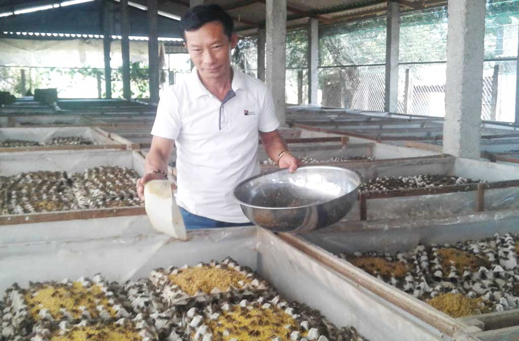 Tỉ phú dế