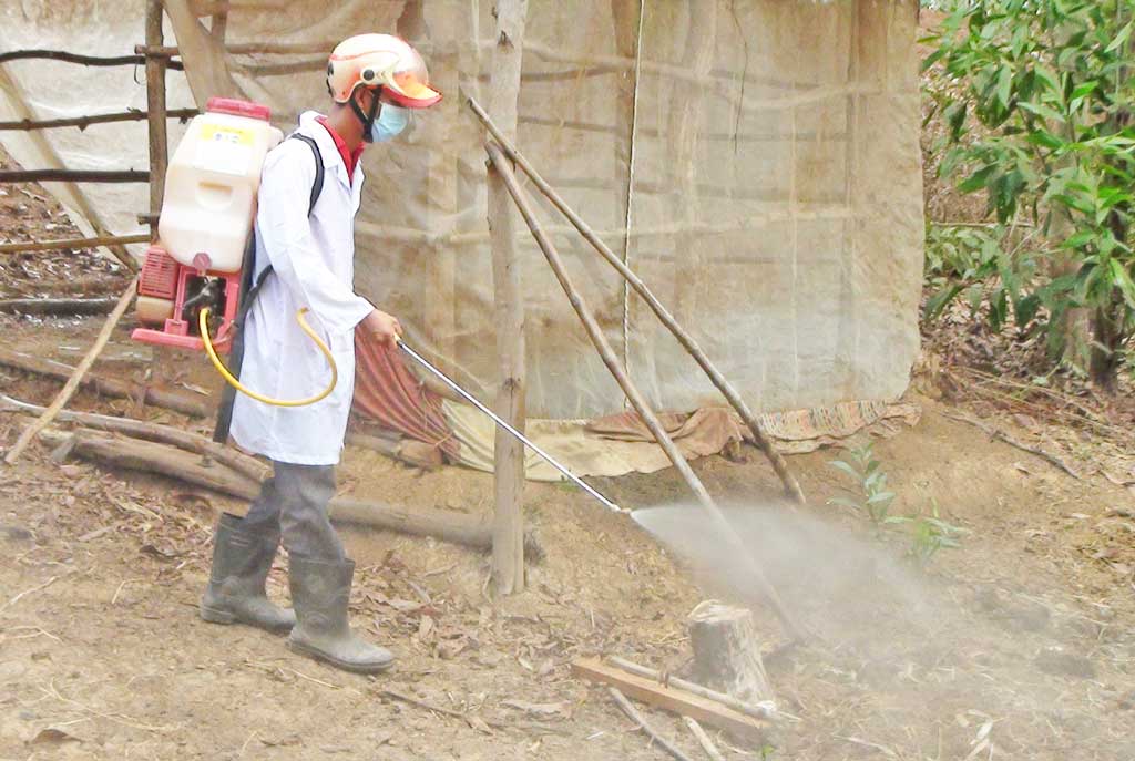 Chủ động phòng, chống dịch bệnh đối với gia súc, gia cầm